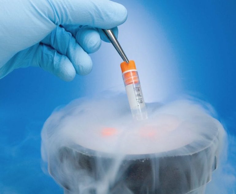 Embryo Freezing Sikar