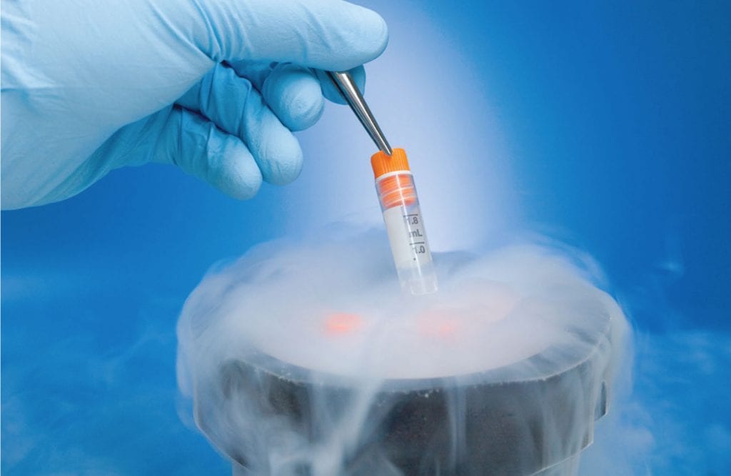 Embryo Freezing Sikar